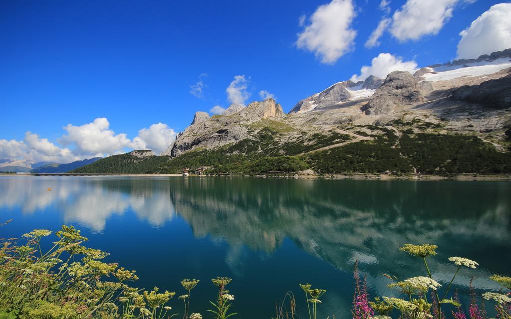 Alpenhotel La Montanara 로카 피에토레 외부 사진