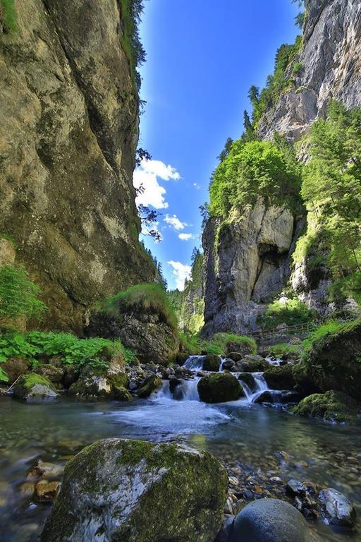Alpenhotel La Montanara 로카 피에토레 외부 사진